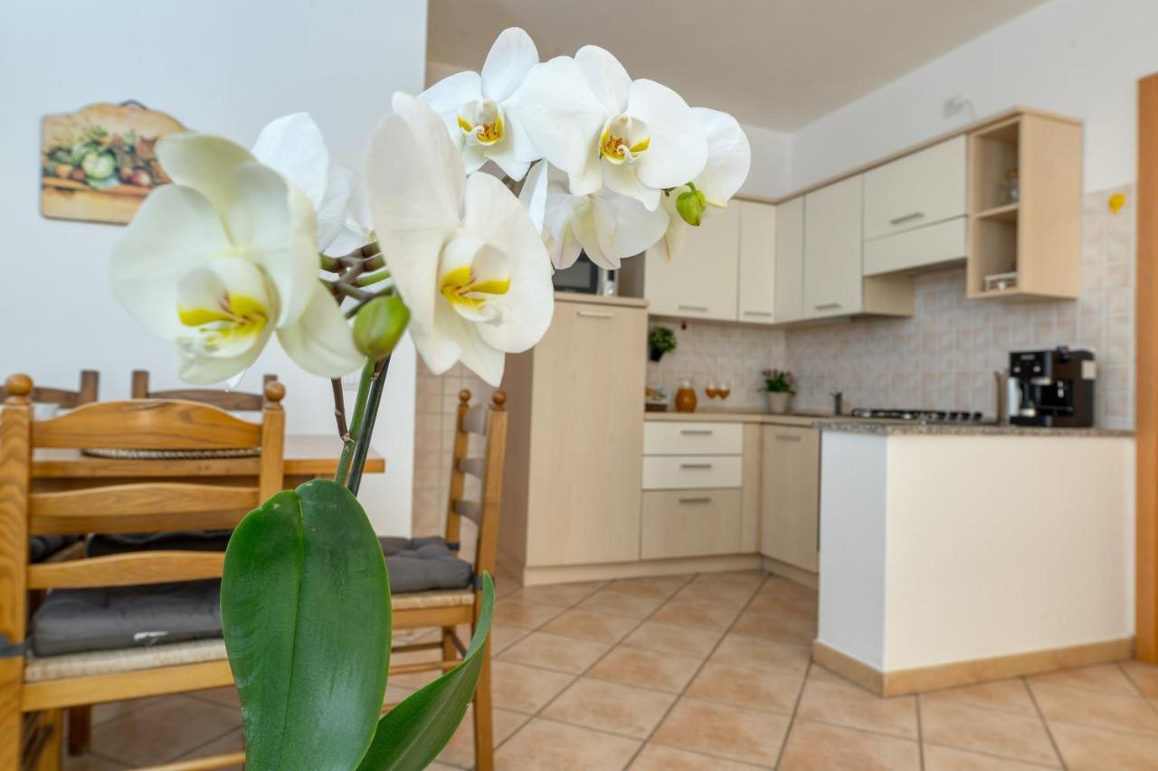 Izzhome Everyway Pula Bagian luar foto